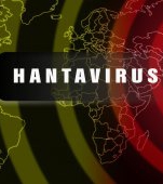 Hantavirus: ce este, ce simptome anunță boala și când poate fi mortală?