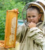 Apiterapia: ce este și ce afecțiuni tratezi la copii cu produse apicole
