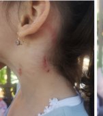 Caz șocant la o grădiniță din București. O fetiță de trei ani a fost agresată de educatoare