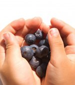 Fructele de padure la copii: ghid de alimentatie