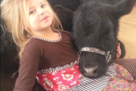 Raspunsul unei fetite despre vitelusul adus in casa este absolut ilar