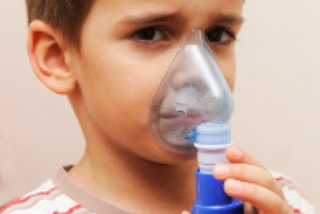 Cercetatorii au descoperit cauza astmului si o posibila modalitate de vindecare