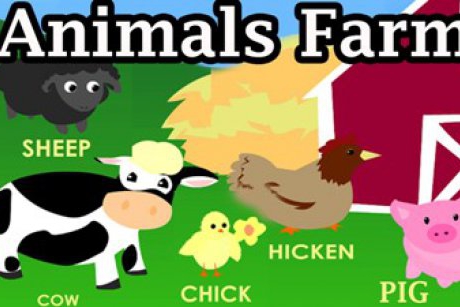Poezii in Limba Engleza despre animalele de la ferma