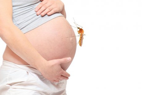 Virusul Zika în sarcină