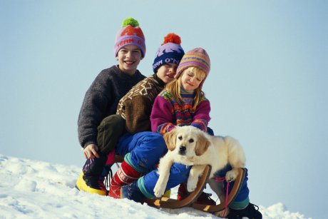 Top 5 activitati de iarna pentru copilul tau
