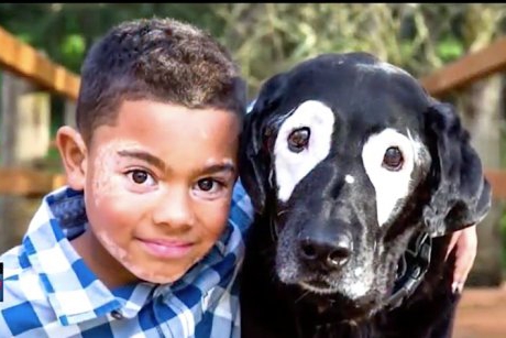 Cei mai buni prieteni! Faceți cunoștință cu băiețelul și cățelul ce suferă de vitiligo