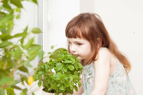 5 condimente cu efecte miraculoase asupra sănătății copilului