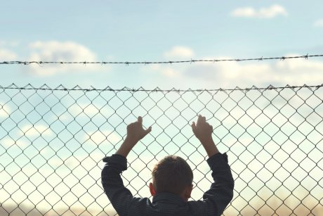Projekt Maramureș: copii din Germania abuzați și ținuți în sclavie, duși în pragul sinuciderii