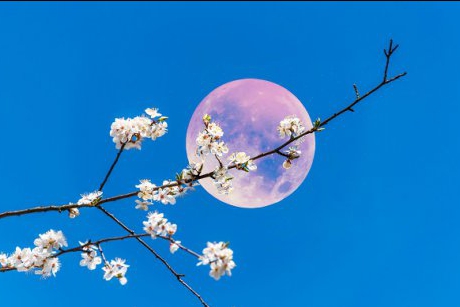 Vine Luna Roz! Cum ne va afecta prima lună plină din această primăvară