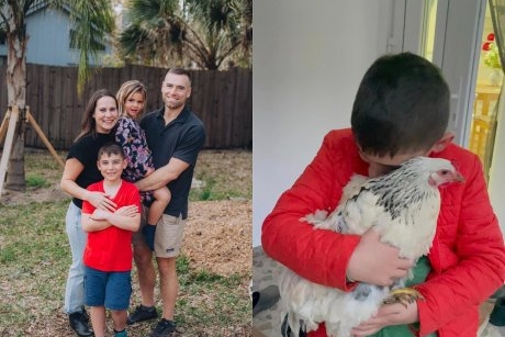 O familie cu doi copii a renunțat la palmierii din America pentru dealurile din Transilvania de dragul...unei găini