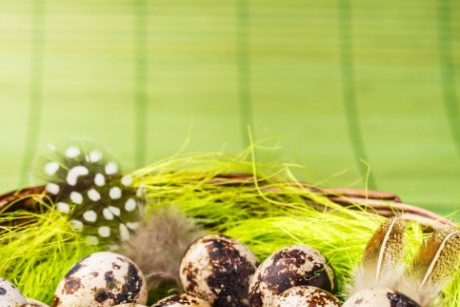 Oua de prepelita: informatii nutritionale pentru mame responsabile