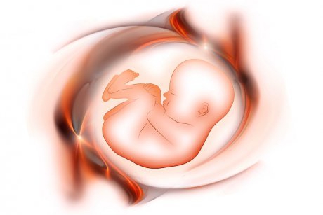 Sarcina pe luni - detalii importante ale celor 9 luni de sarcina