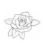 Desene de colorat cu trandafiri poza 2