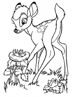 Bambi poza 4