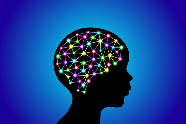 imagine 3D creierul copilului si existenta retelelor neuronale