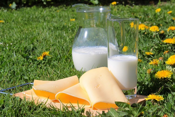 lapte in carafa, alaturi de un pahar cu lapte si de feliute de cascaval, puse pe un suport de lemn aflat pe iarba cu papadii