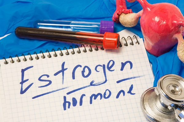 bucata de hartie pe care scrie „hormonul estrogen”, alaturi de care se afla eprubete cu probe de sange, un mulaj ce infatiseaza uterul si un stetoscop