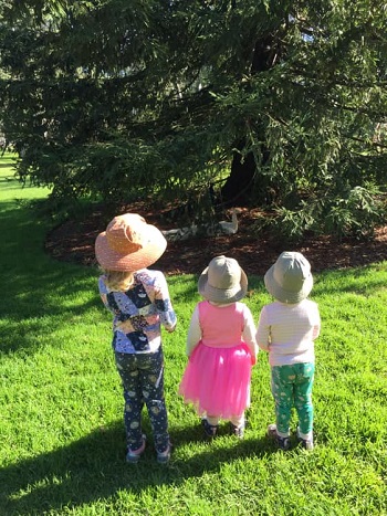 trei copii uitandu-se la un copac
