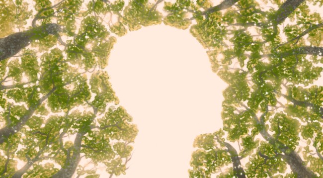 forma unei siluete umane printre copaci 