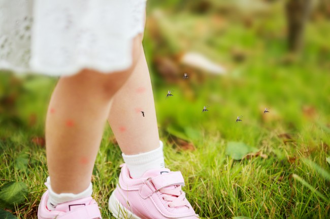 picioarele unei fetite in iarba 