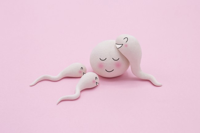jucarii-cu-fete-zambitoare-care-ilustreaza-ovulul-si-spermatozoizii