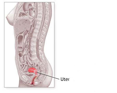 Saptamana 1 de sarcina