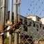 Operațiunea „Droguri pentru copii”: Bomboane și prăjituri cu substanțe interzise au fost găsite într-o fabrică din Iași