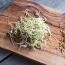Spermidina: ce este și când este recomandată?