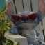 Lilo & Stitch – Când apare în cinematografele din România?