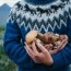 Un copil de 11 ani a murit intoxicat cu ciuperci. Mama si surorile lui sunt la spital