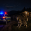 Tragedie în Buzău. Un copil de 4 ani a fost ucis de un câine ciorbănesc