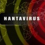 Hantavirus: ce este, ce simptome anunță boala și când poate fi mortală?
