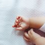 Tragedie în Teleorman: un bărbat și-a ucis fetița de numai 1 an si 3 luni și pe mama acesteia, apoi și-a luat viața