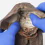 Angajații muzeului Auschwitz au descoperit o inscripție emoționantă în pantofii unui copil care a trăit în lagăr