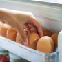 De ce nu este bine să ținem ouăle în ușa frigiderului. Explicația specialiștilor