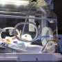30 de bebeluşi au murit în spital! Ce se întâmplă la secţia de terapie intensivă de la Marie Curie
