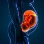 Placenta îmbătrânită: ce este și când să te îngrijorezi?