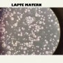 Ce se întâmplă când pui lapte matern la microscop? Magia sânilor cucerește internetul