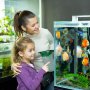 Pești în acvariu: cum alegi speciile potrivite pentru ca micuții tăi să se bucure cât mai mult de ei