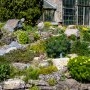 5 moduri în care îți poți amenaja grădina cu flori și piatră
