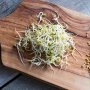 Spermidina: ce este și când este recomandată?