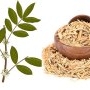 Muira Puama: beneficii și recomandări