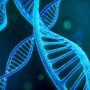 Instabilitate genomică: ce este și cum te afectează?