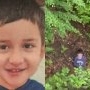 Băiețelul de 5 ani din Sibiu a fost găsit teafăr și nevătămat după 3 zile de căutări. Alexandru este acum în afara oricărui pericol