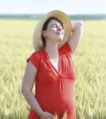 Amenintarea tantarilor in timpul sarcinii