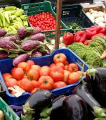 Impactul agriculturii chimice asupra fructelor si legumelor