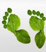 Ai picioare obosite si ingreunate? Rasfata-le 100% natural
