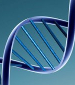 O noua metoda de vindecare a cancerului?