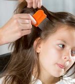 Probleme ale scalpului la copii si rezolvarile lor 