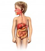 Sistemul digestiv: informatii pentru mame responsabile 